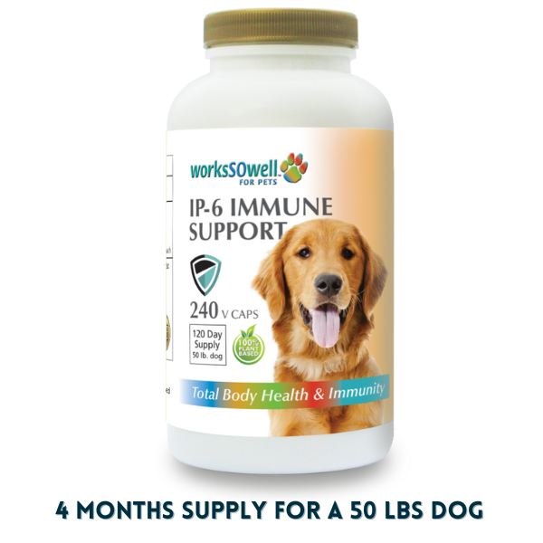 Immune support hot sale for dogs